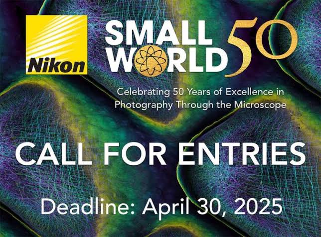 Nikon Small World Photomicrography Competition 2025