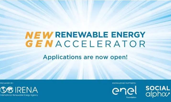 IRENA NewGen Renewable Energy Accelerator Program 2025