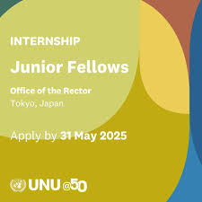 UNU Junior Fellows Internship 2025